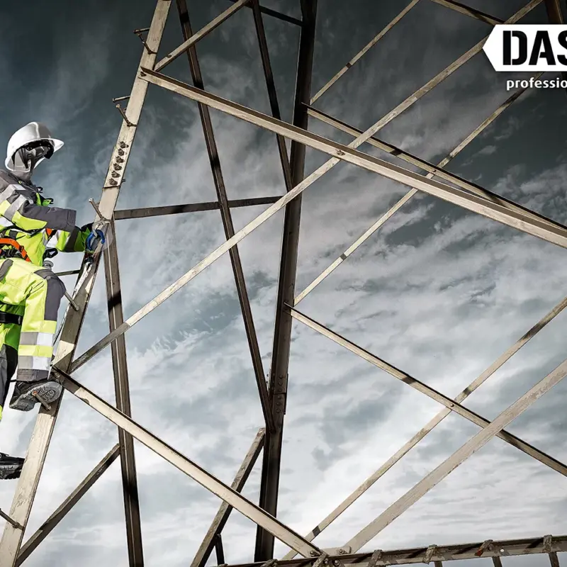 dassy franklin multinorm