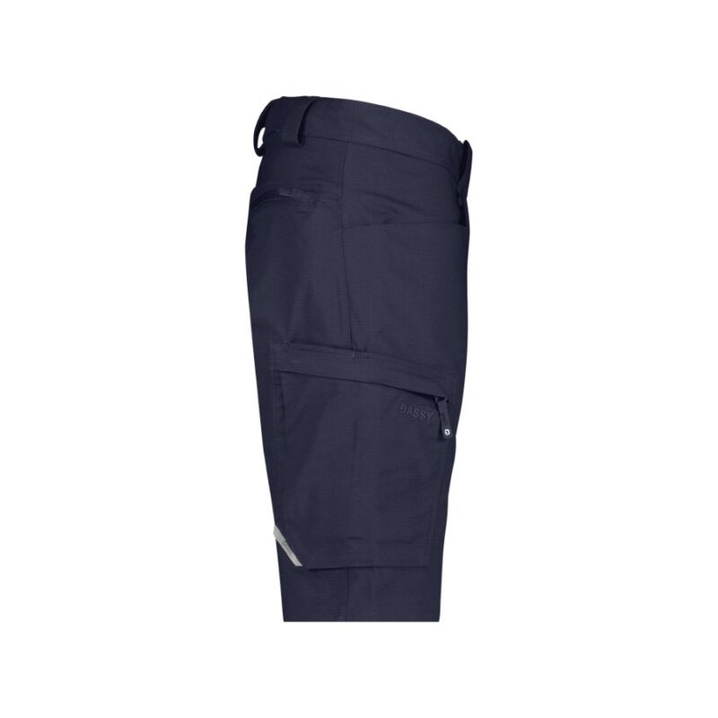DASSY® ZION (250109) ARBEITSSHORTS