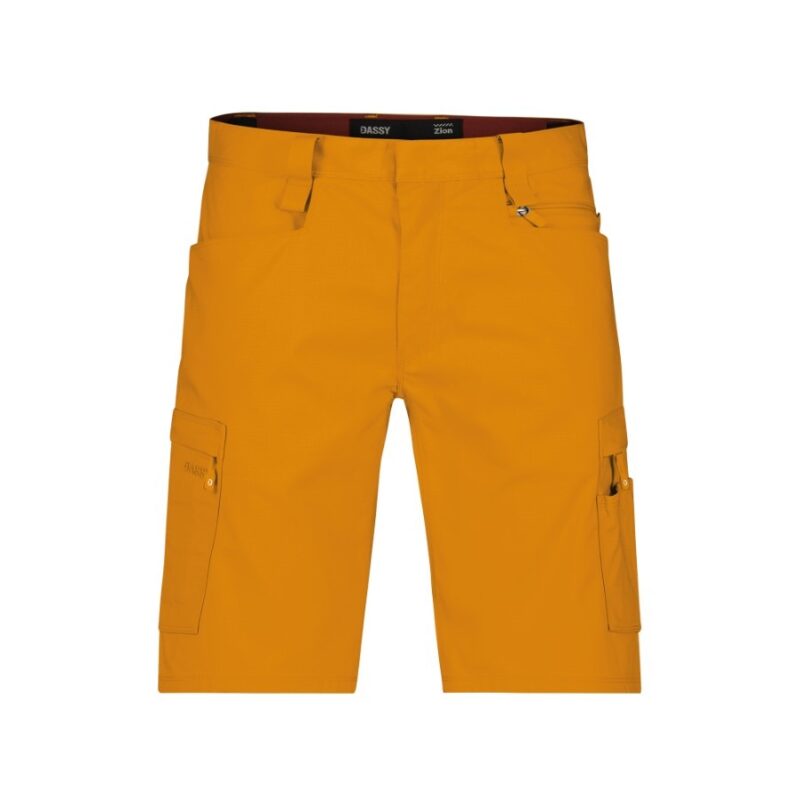 DASSY® ZION (250109) ARBEITSSHORTS