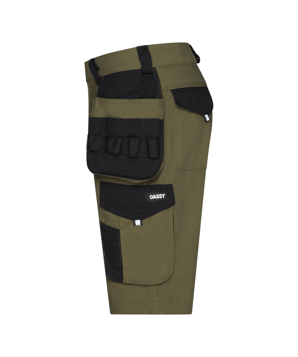 Dassy Icons Kuma Arbeitsshorts mit Holstertaschen – Bild 9