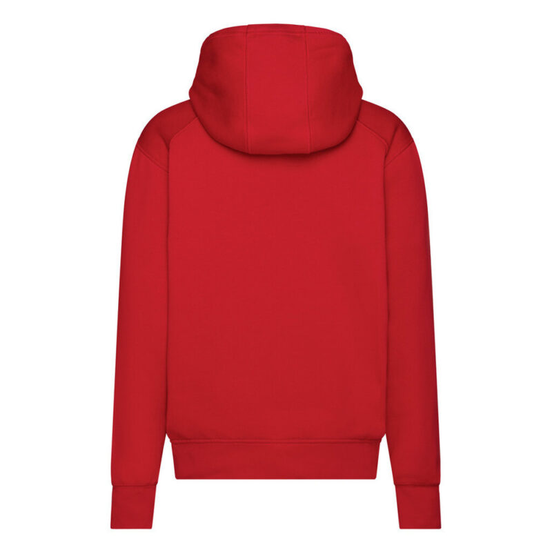 DASSY Pivot Kapuzensweatshirt 300588 – ROT – back