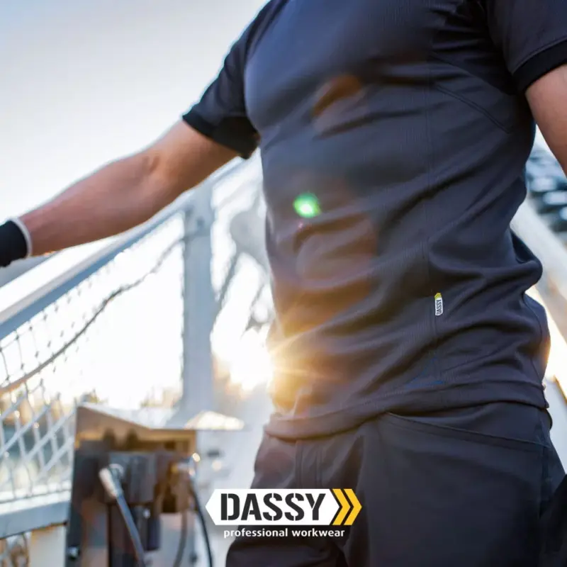 dassy nexus