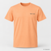 220 - apricot